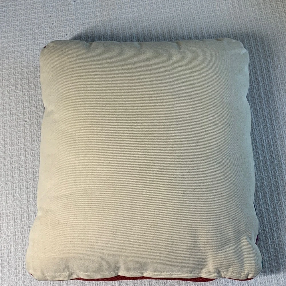 Southwestern throw pillow